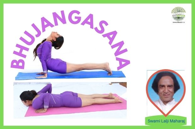 1605710826BHUJANGASANA-(THE-COBRA-POSE).jpg